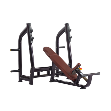 Luxury Incline Bench H-025 (VIKING)